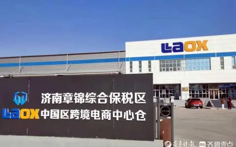 2021年济南两大综保区跨境电商进出口额是2020年的37倍