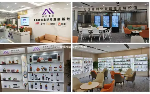 从澳免跨境全球购5000万融资，深度分享SBBC跨境进口模式