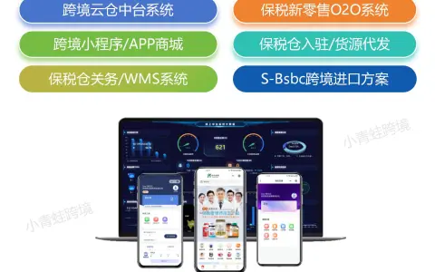 2024年我国跨境电商进出口额2.63万亿元，增长10.8%