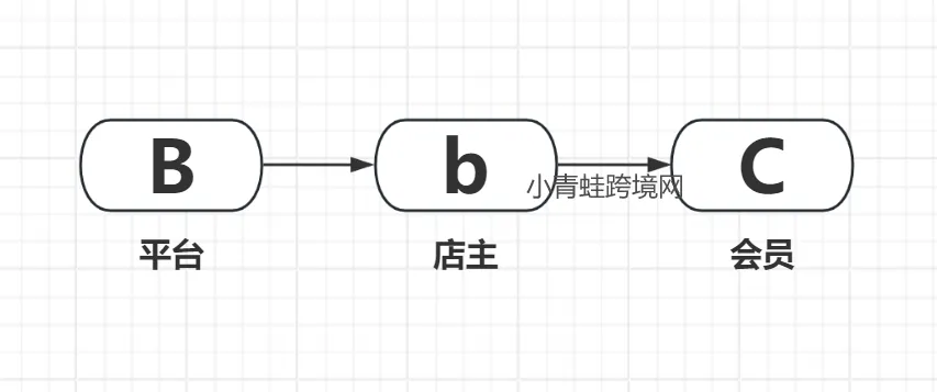 从B2C到B2SBC的进化，分析私域流量运营的场景|进口跨境电商运营干货