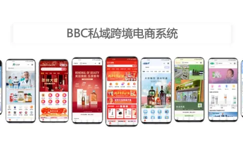 母婴品类进口跨境电商：BBC 分销商城 + 保税仓对接方案