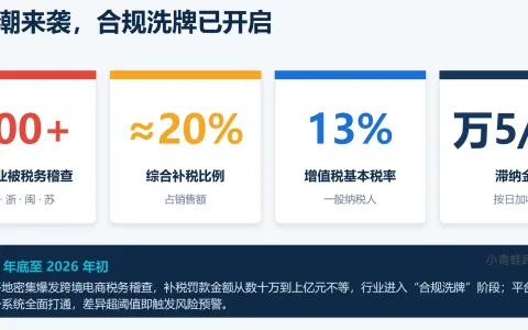 2026增值税法落地，跨境卖家必须做到五流合一，这套 SaaS 自动闭环合规证据链