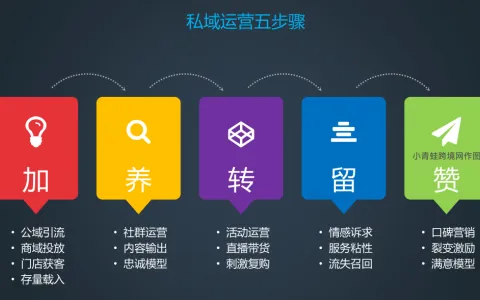 四种公私域联动路径，适配所有跨境医药商家，新手也能落地