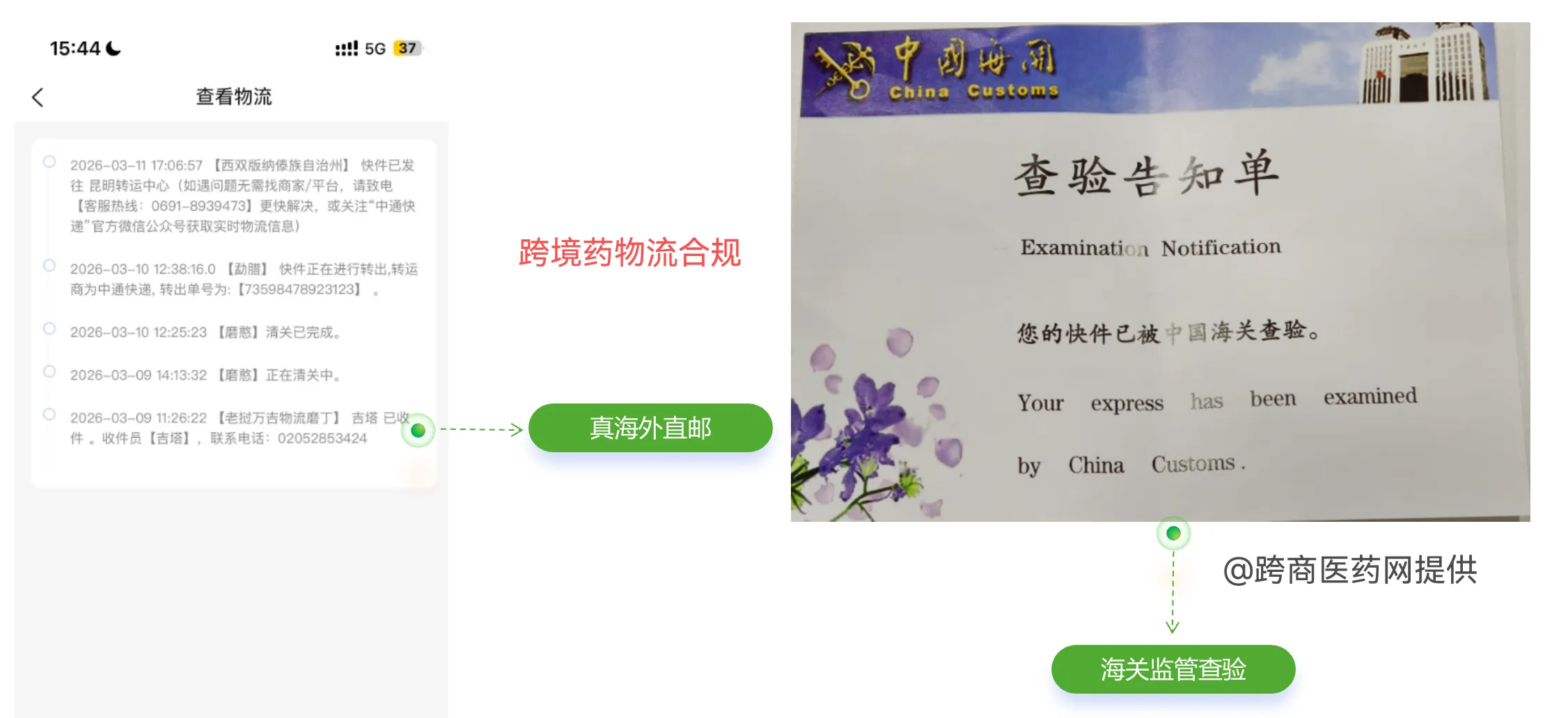 跨境医药物流合规:真实轨迹+海关查验,守住最后一道防线